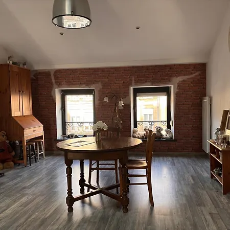 La Porte Des Vosges Lumineux Avec Ter Apartment