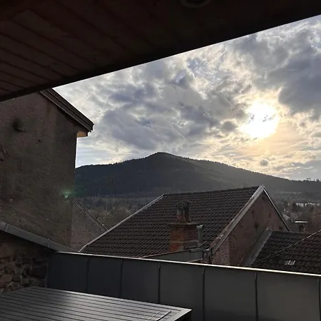 La Porte Des Vosges Lumineux Avec Ter Apartment *