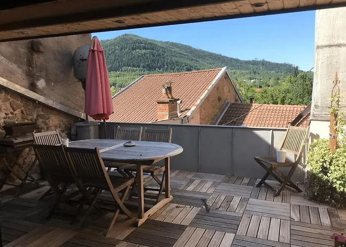 Apartment La Porte Des Vosges Lumineux Avec Ter