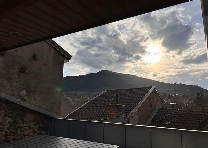 La Porte Des Vosges Lumineux Avec Ter Apartment *